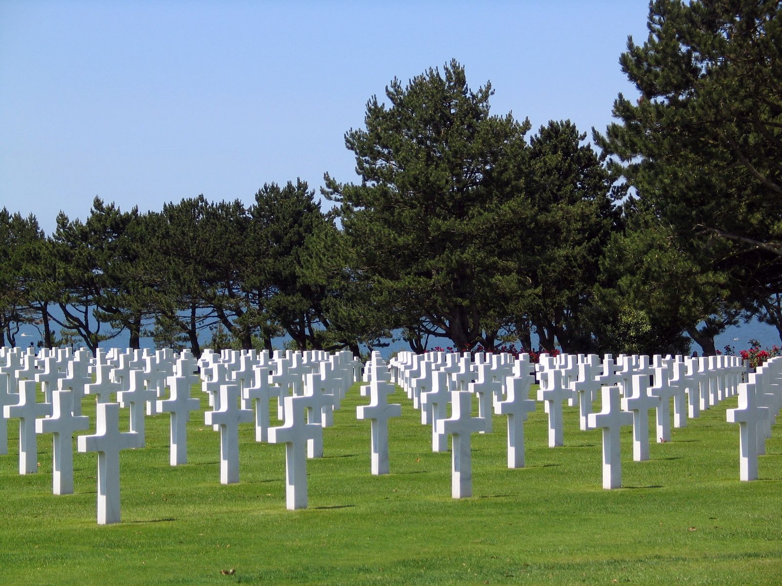 Empresas funerarias y criterios de la DGT sobre IVA e IAE